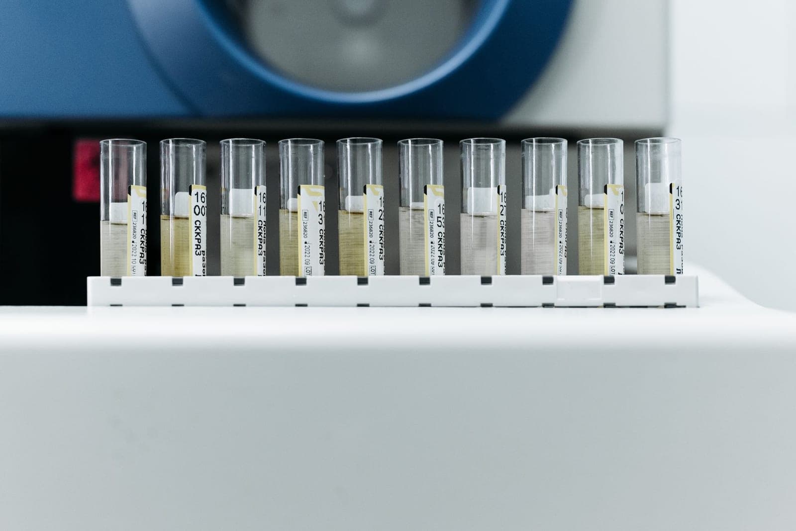 Labeled test tubes in a laboratory rack.