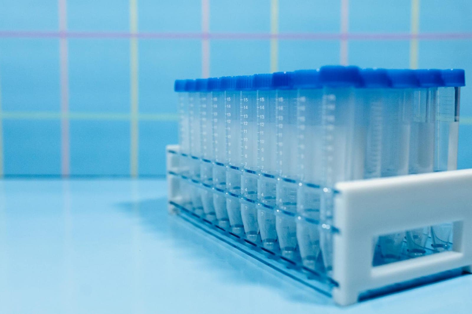 Colorful liquid samples in test tubes held in a laboratory rack.